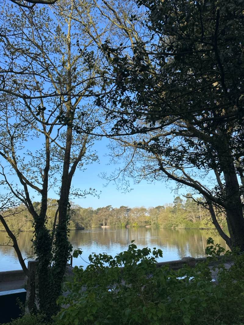 walking near me in Hartsholme Park in spring