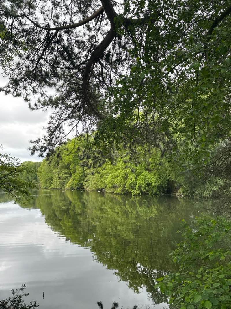 walking near me in Hartsholme Park in summer