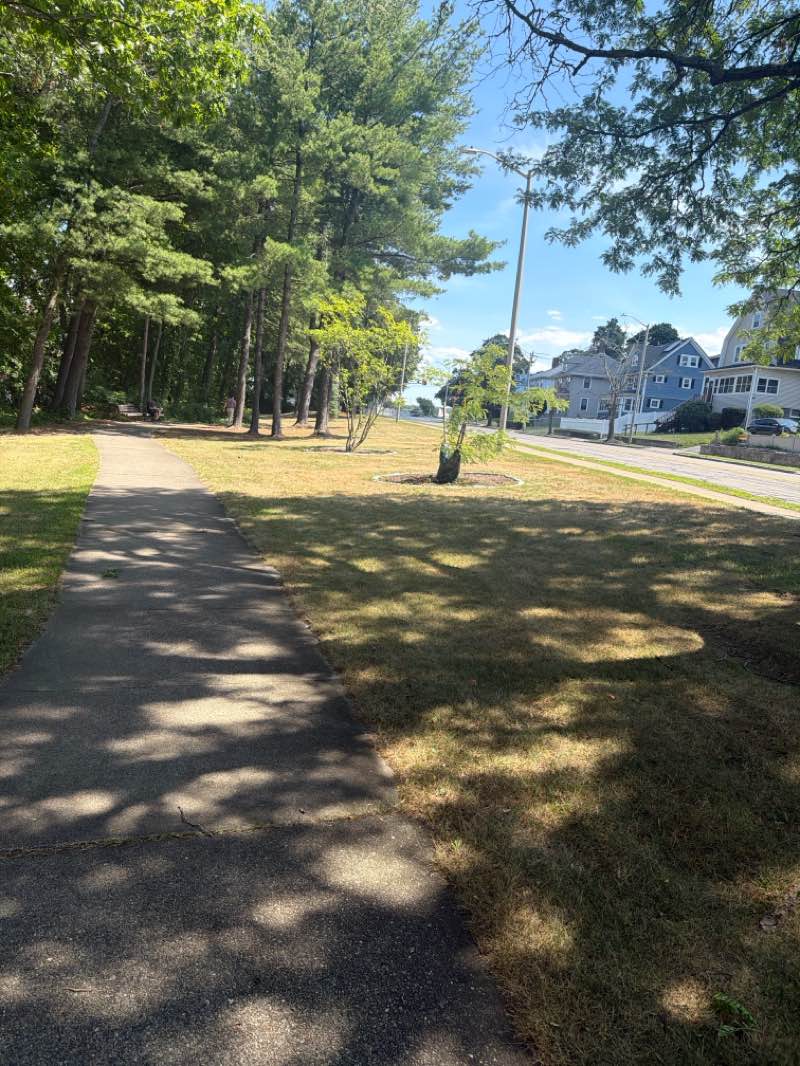 walking near me in Freedom Park in summer