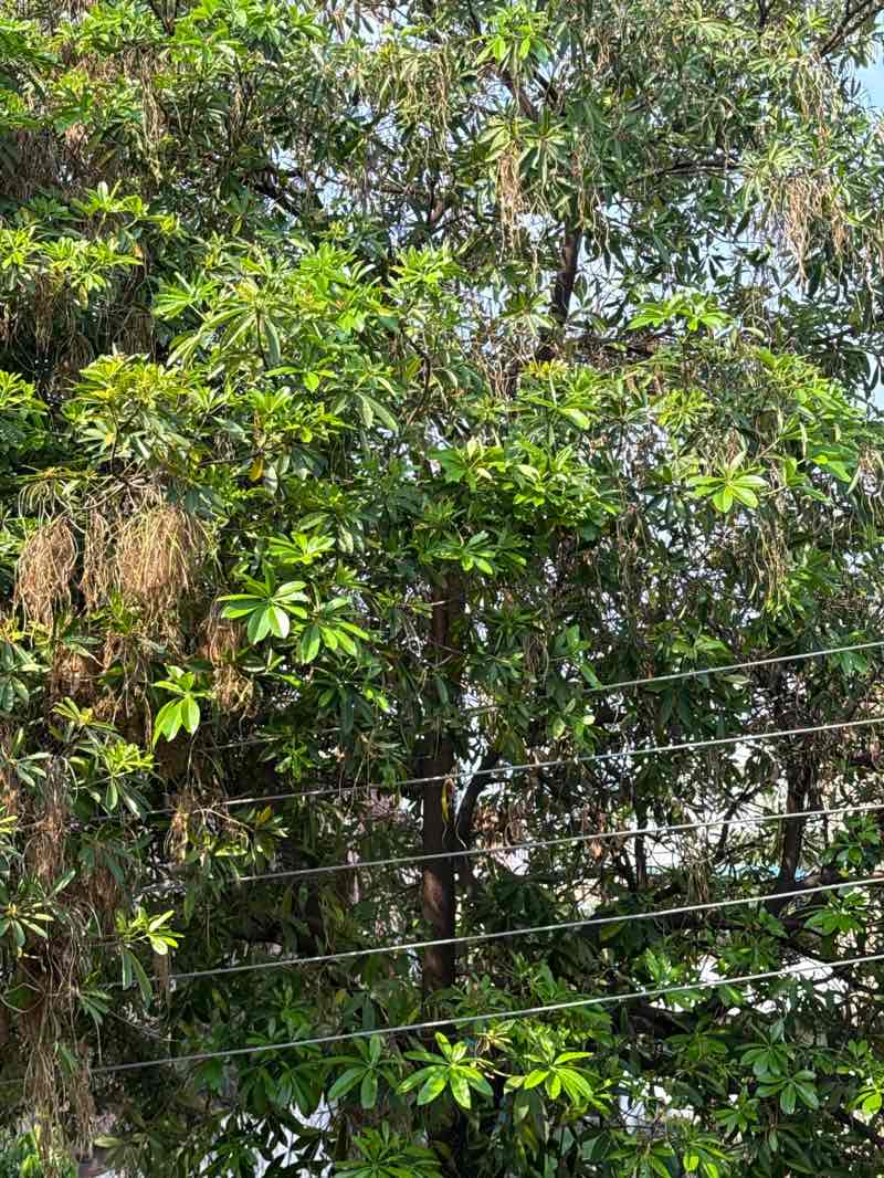 walking near me in Oxyzone Park in spring