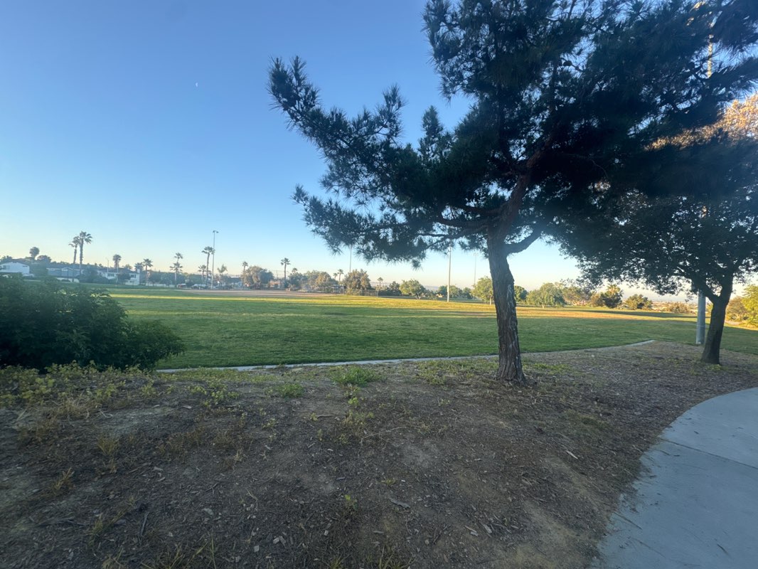 walking near me in Veteran's Park in spring