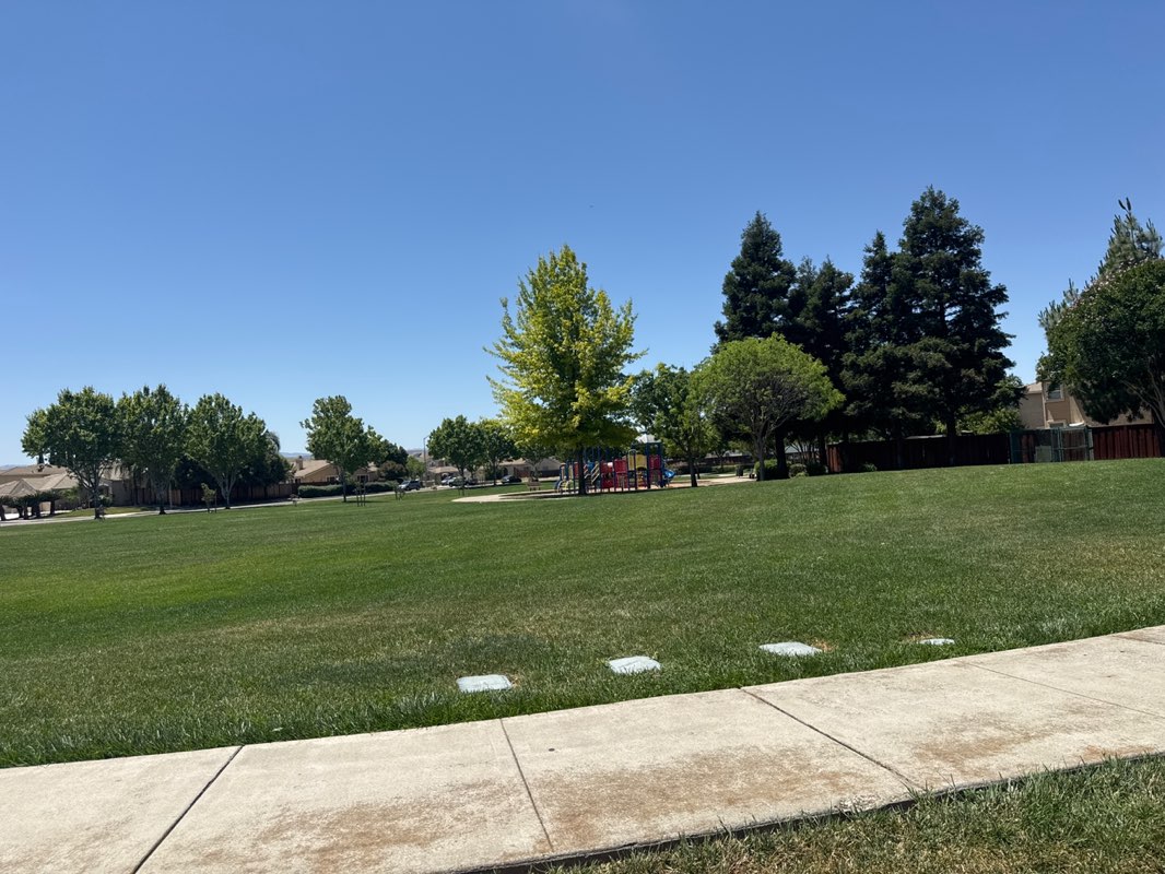 walking near me in John Erb Park in summer