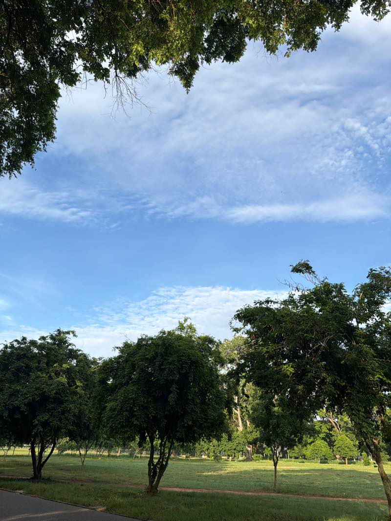 walking near me in Sarbah field in summer