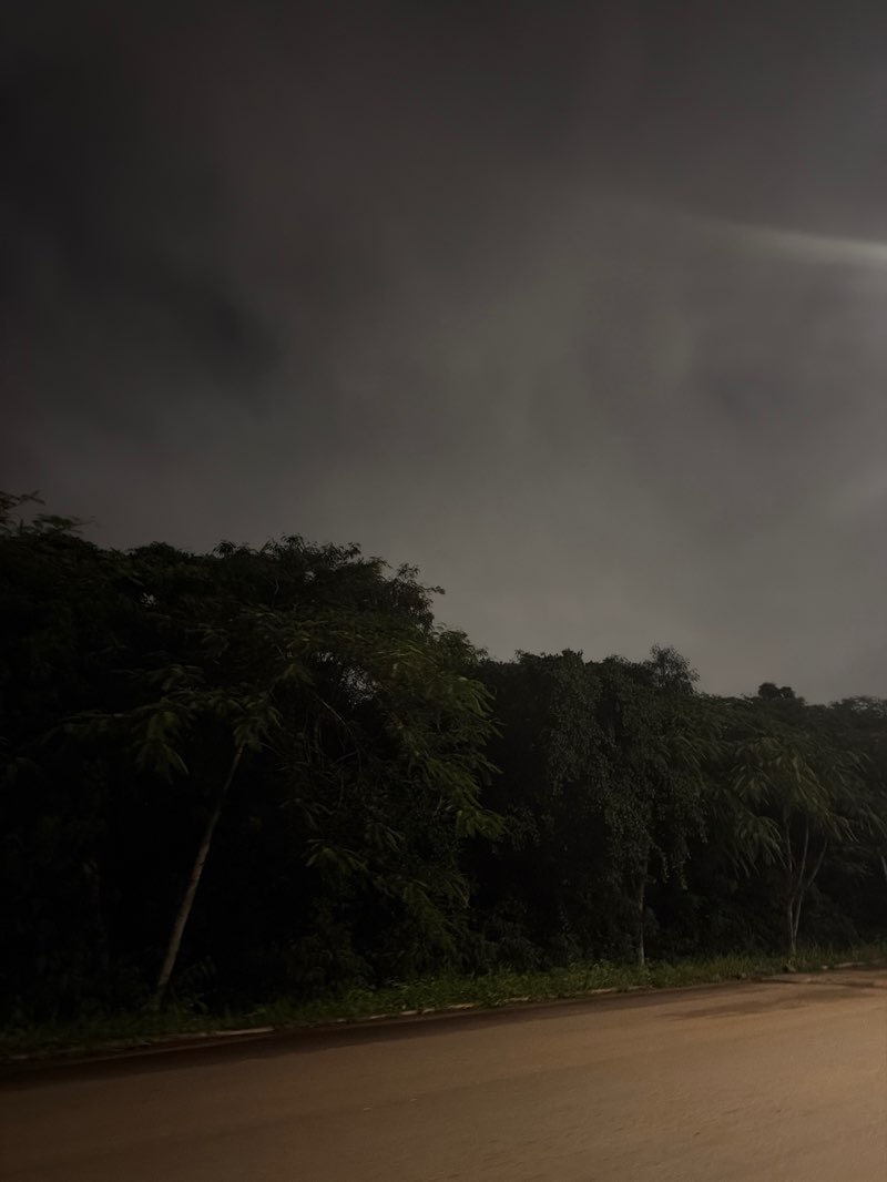walking near me in University of Ghana Botanical Gardens in summer