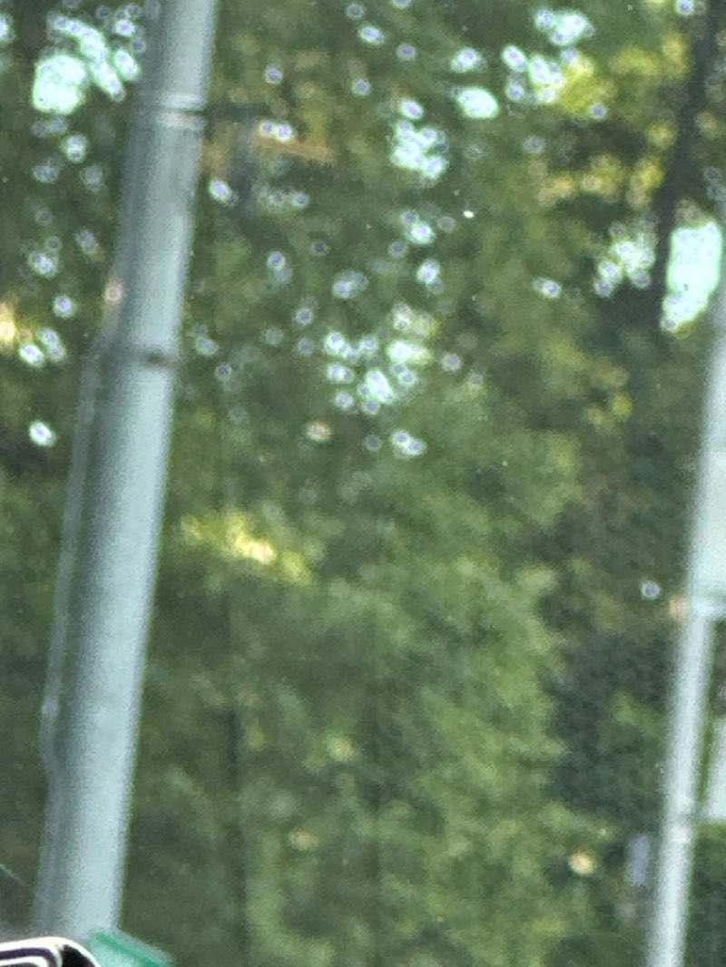 walking near me in Vassar Field in summer