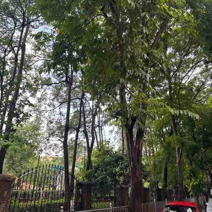 रमता जोगी post 1