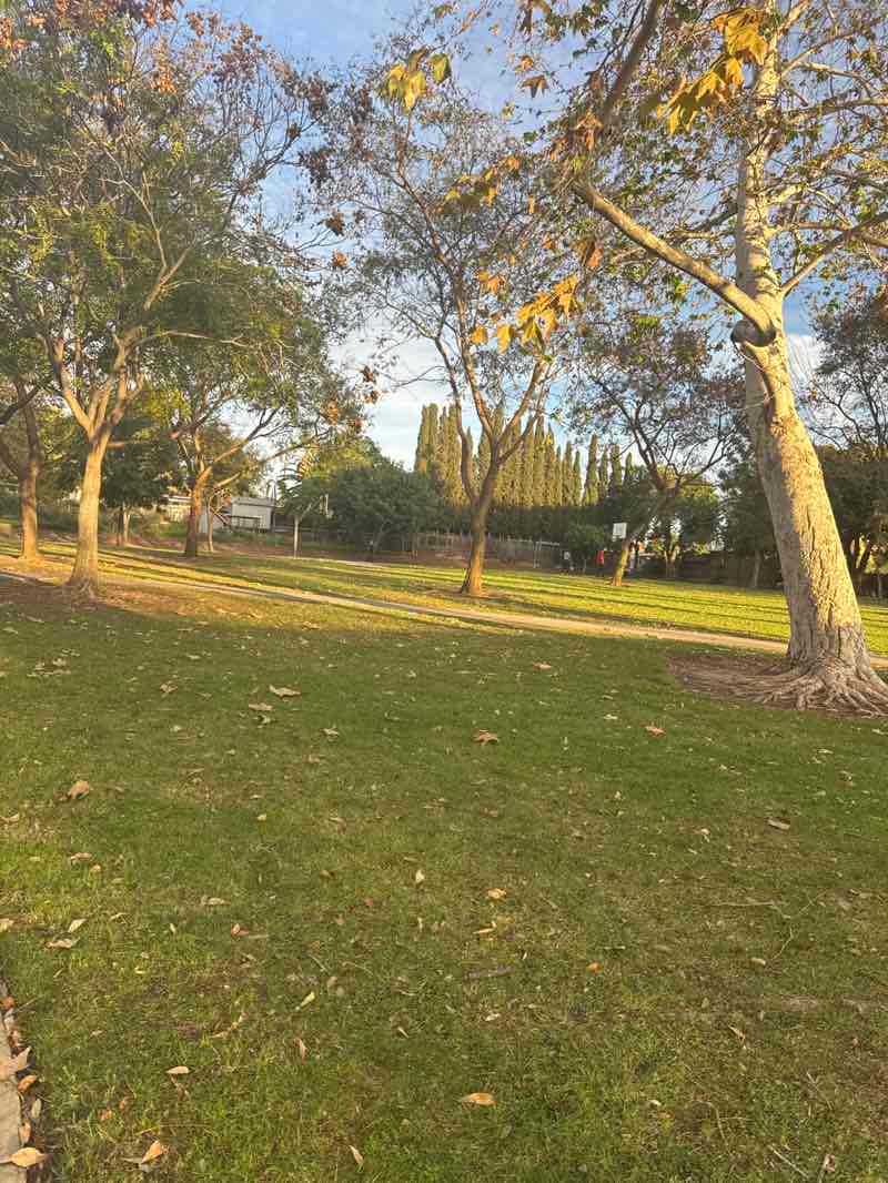 walking near me in Lemon Grove Park in winter