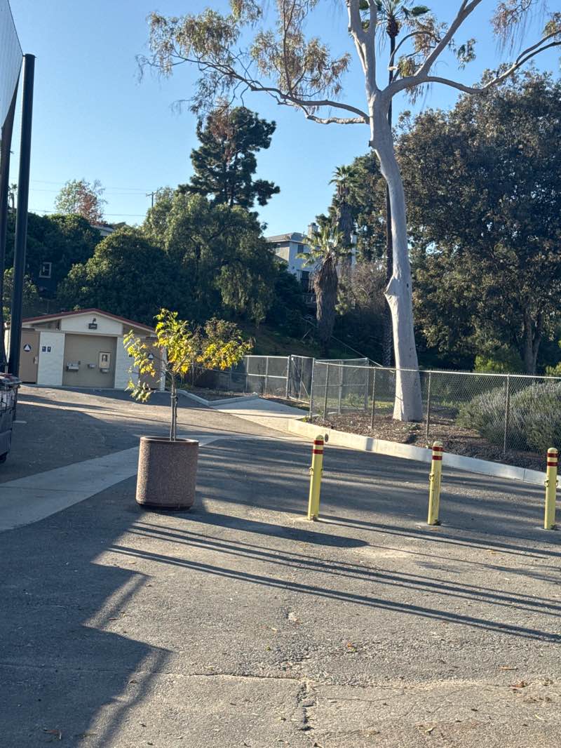 walking near me in MacArthur Park in winter