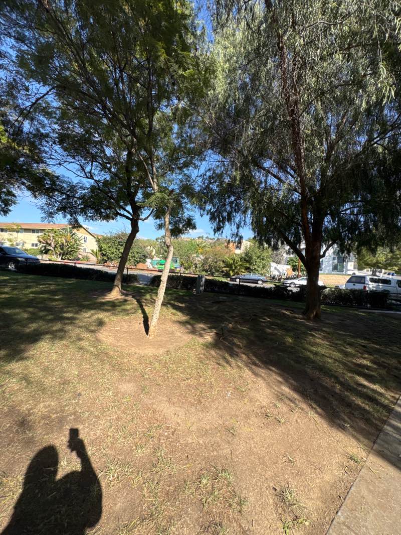 walking near me in Dan Kunkel Park in winter