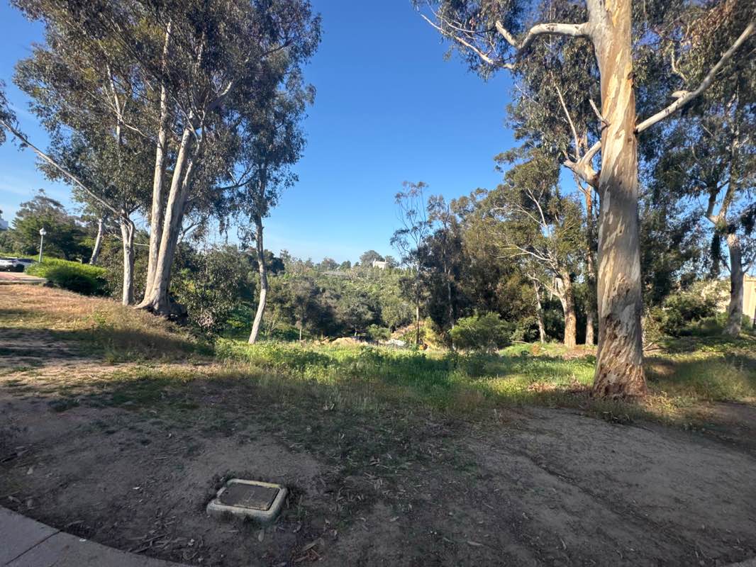 walking near me in Balboa Park in winter