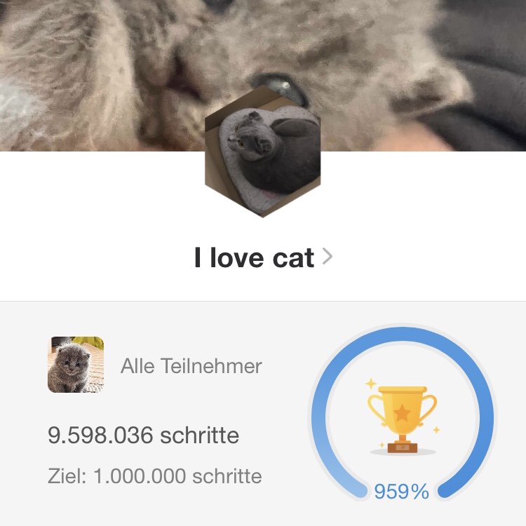 Catlove Catlove post image