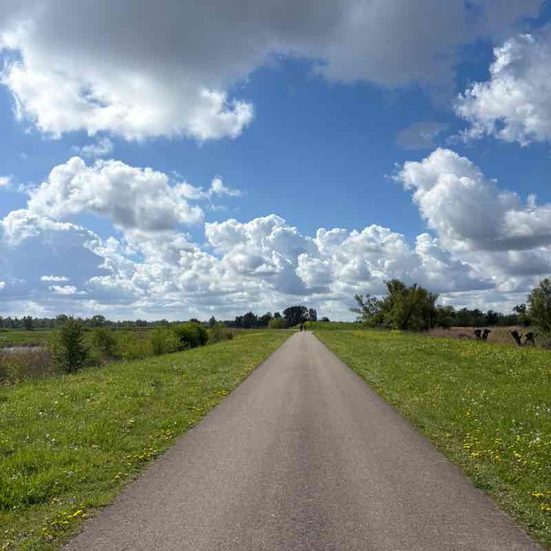 OnsOns Thijmen Z post image