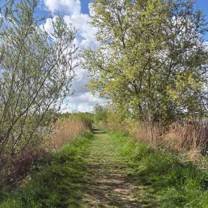 OnsOns Thijmen Z post image