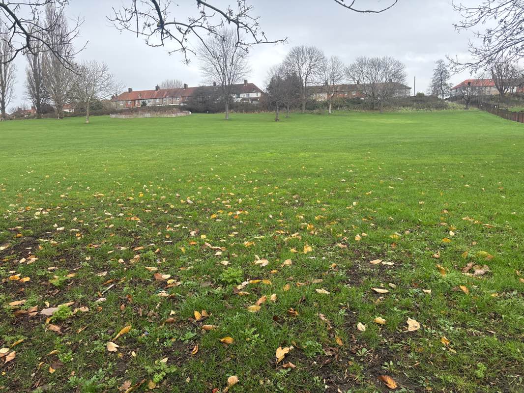 walking near me in Downham Fields in winter