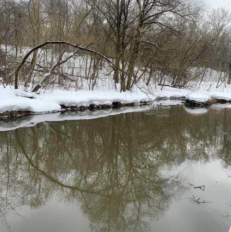 Тело мечты Sergio post image