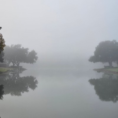 Team Cartier Glasses Queen Cartier post image