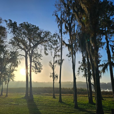 Team Cartier Glasses Queen Cartier post image