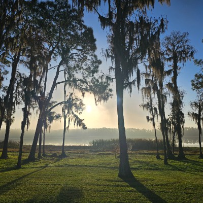 Team Cartier Glasses Queen Cartier post image