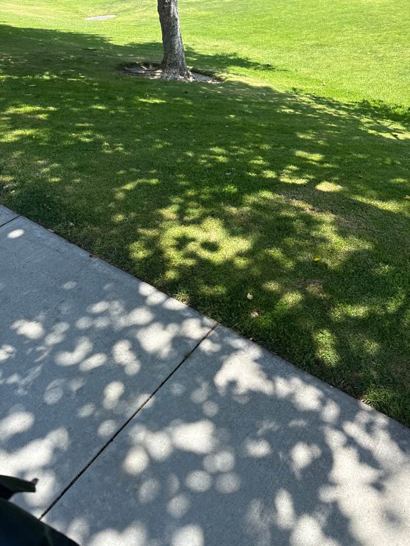 walking near me in Tierra Grande Park in summer