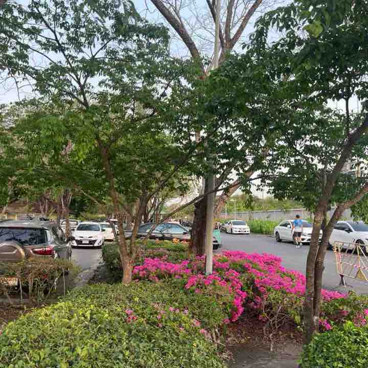 20051709 ekachai_k post 1