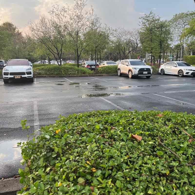 20051709 ekachai_k post 1