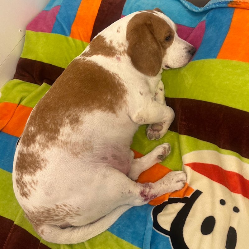 20254136 Nanthiya icon