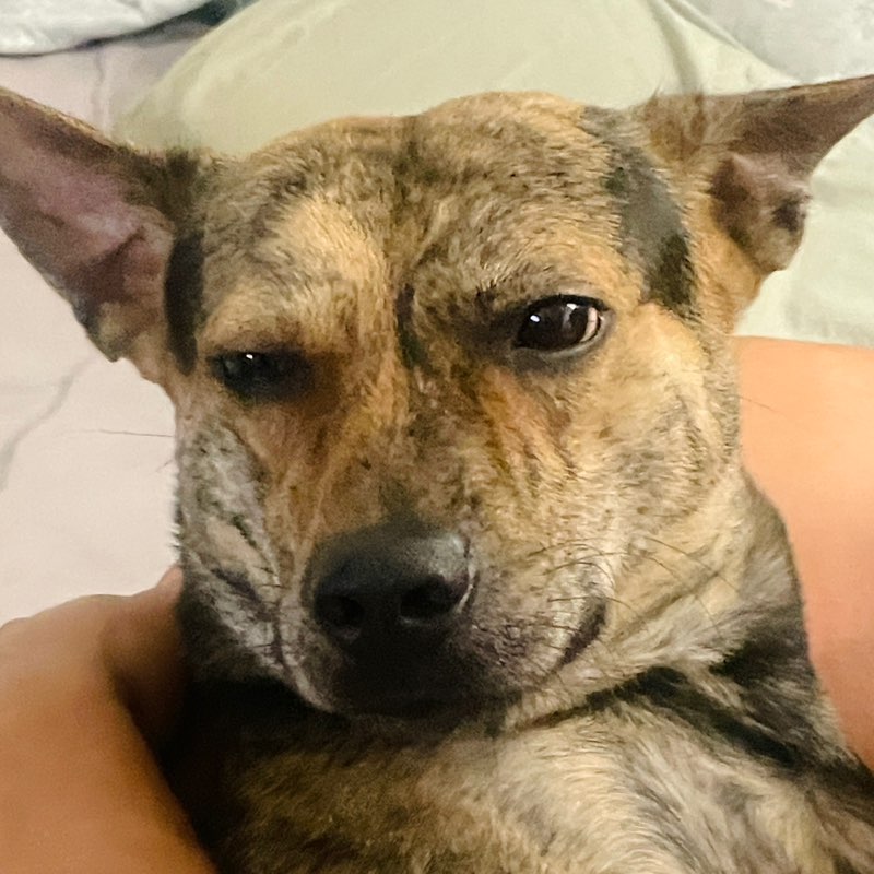 LALA - 254069 profile