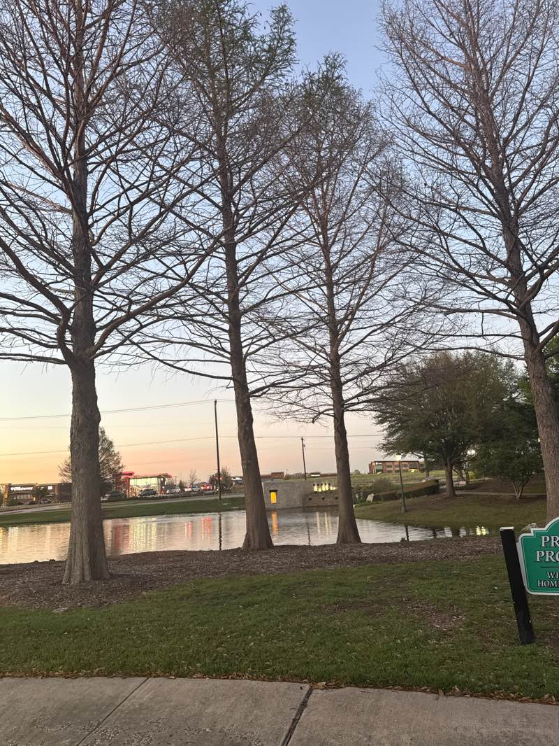 walking near me in Willow Ridge Park in spring