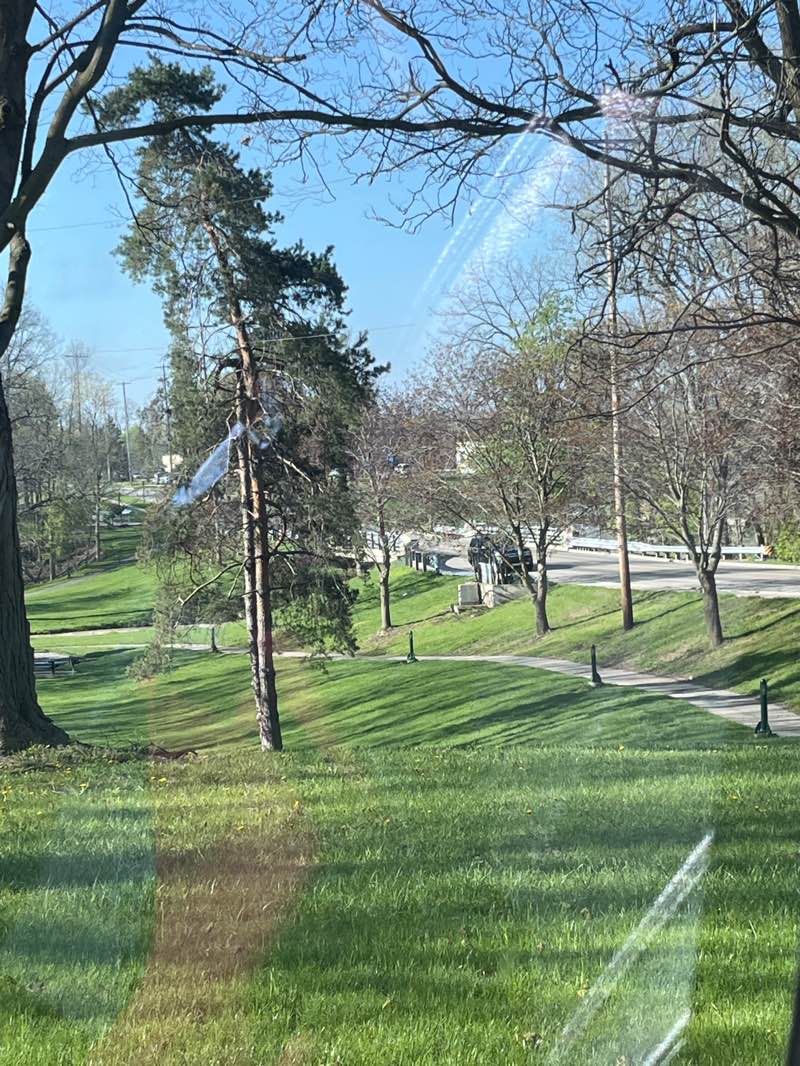 walking near me in Douglas W. Bird Kiwanis Memorial Park in spring