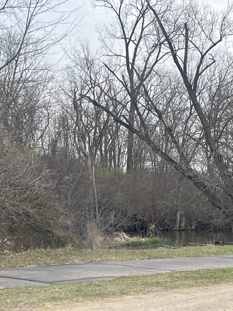 walking near me in Tate Park in spring