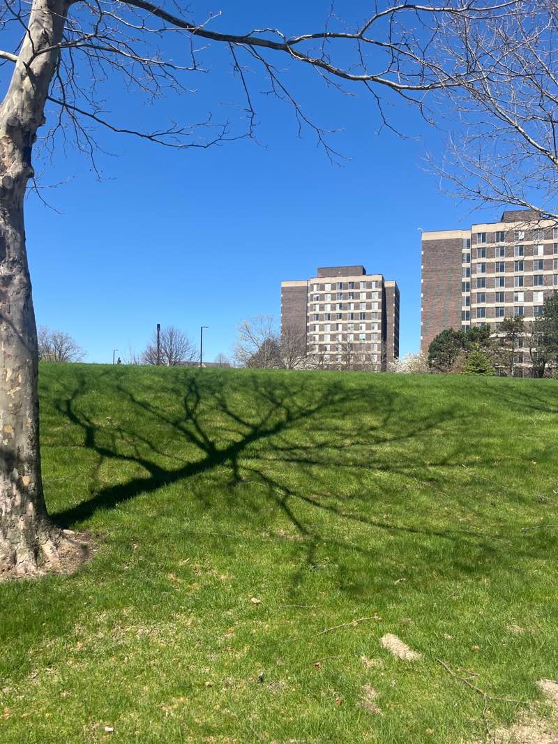 walking near me in University Park in spring