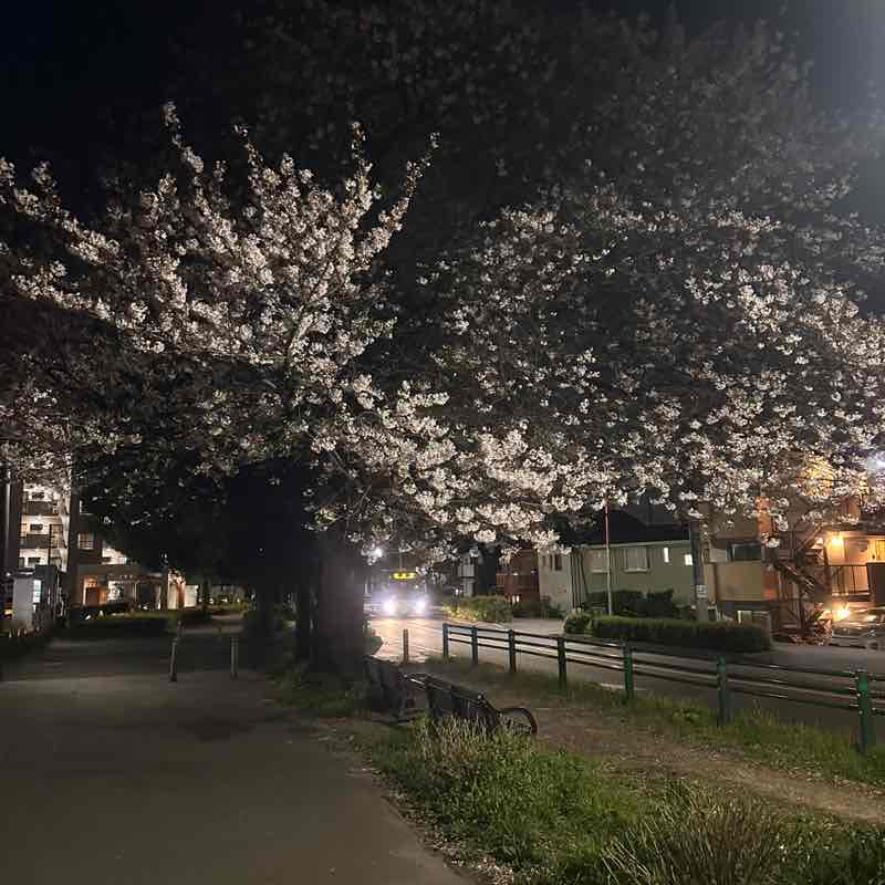 Thomas tanaka post 3