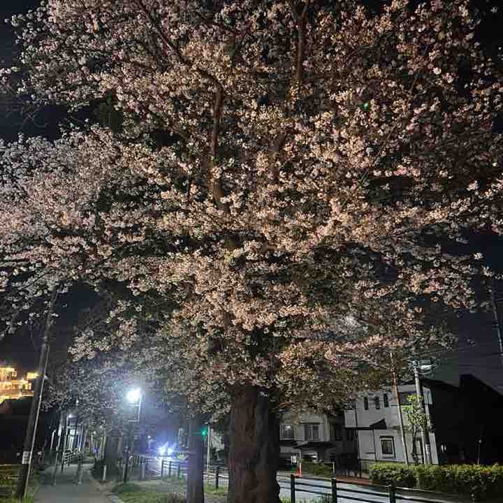 Thomas tanaka post 2