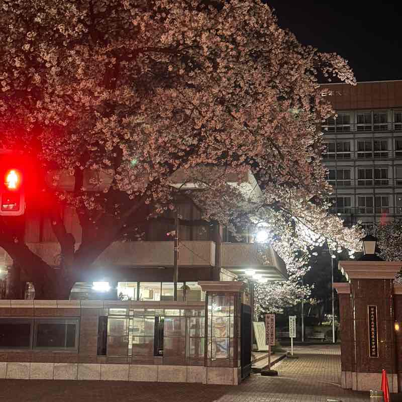 Thomas tanaka post 1