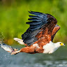 hamza