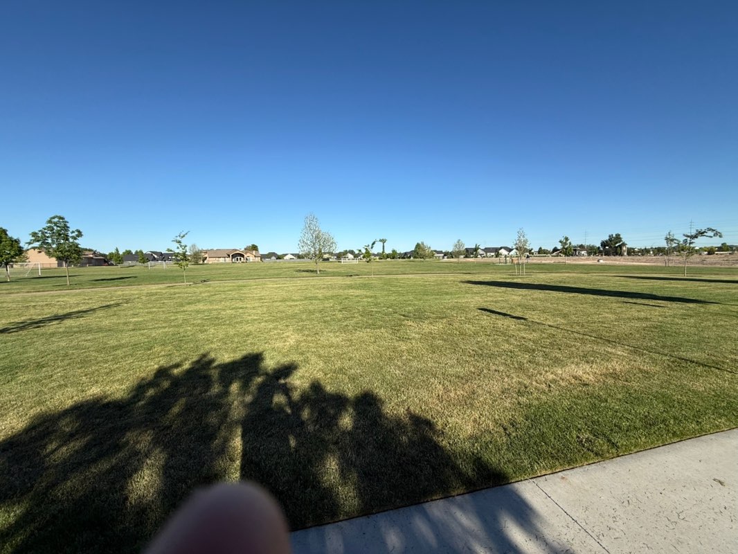 walking near me in Hillsdale Park in spring