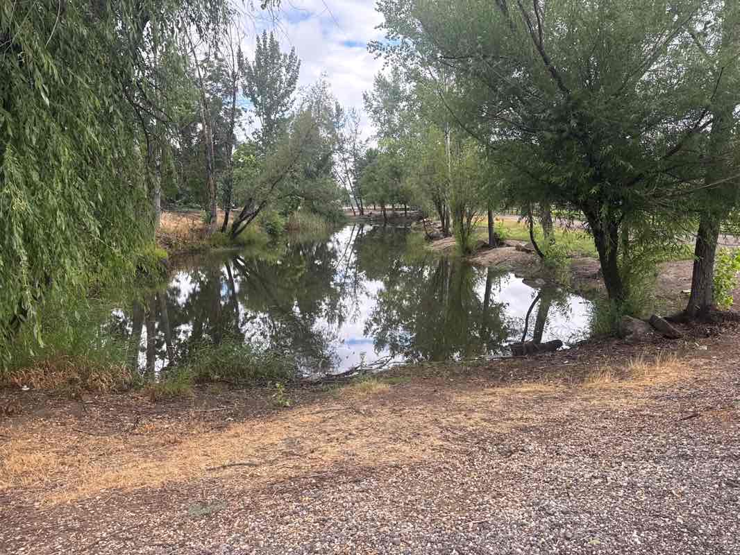 walking near me in Star Riverwalk Park in summer