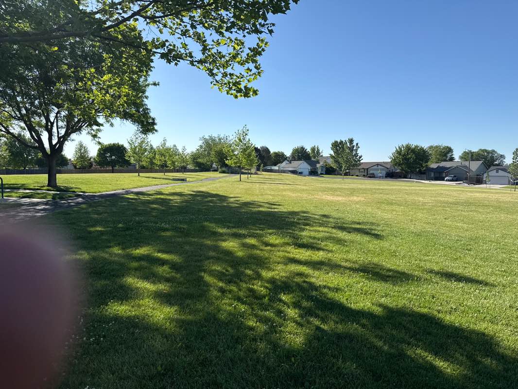 walking near me in Kings Road Park in summer