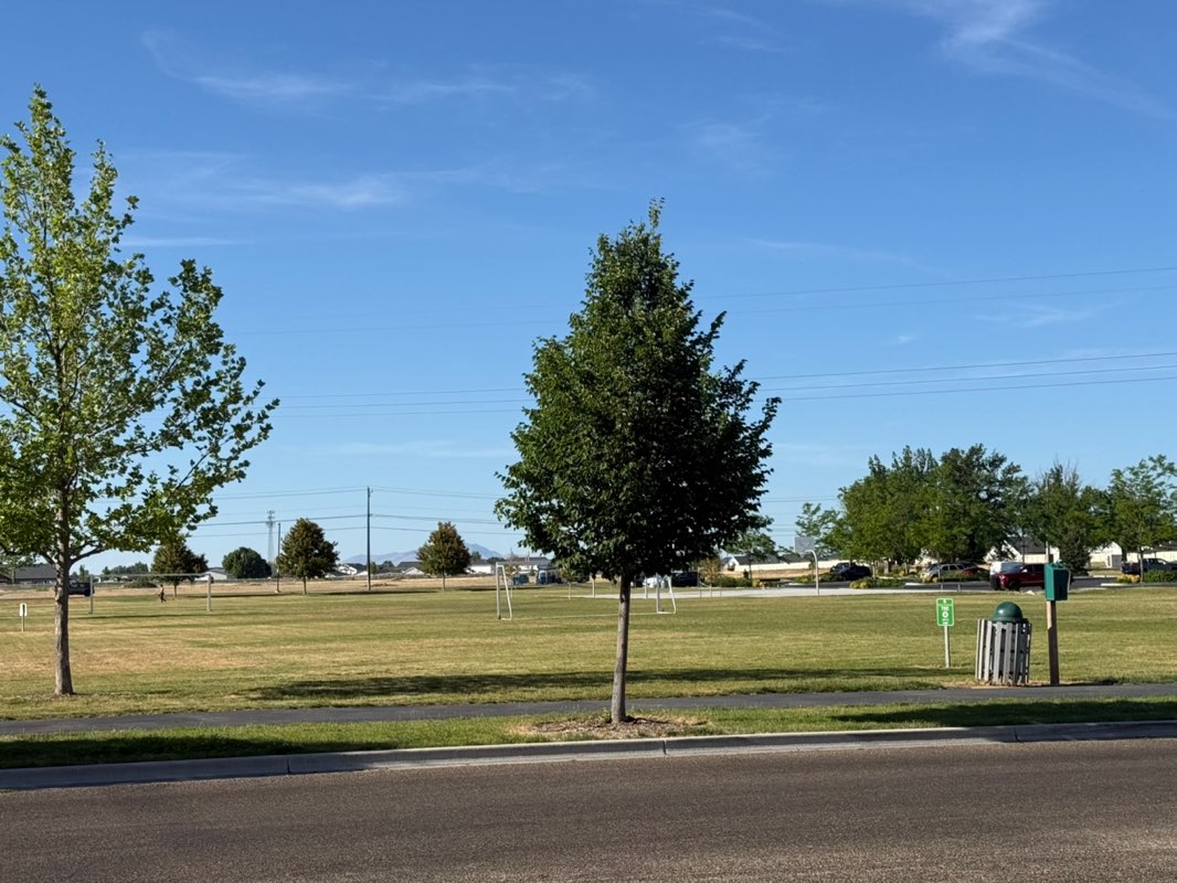 walking near me in Orah Brandt Park in summer