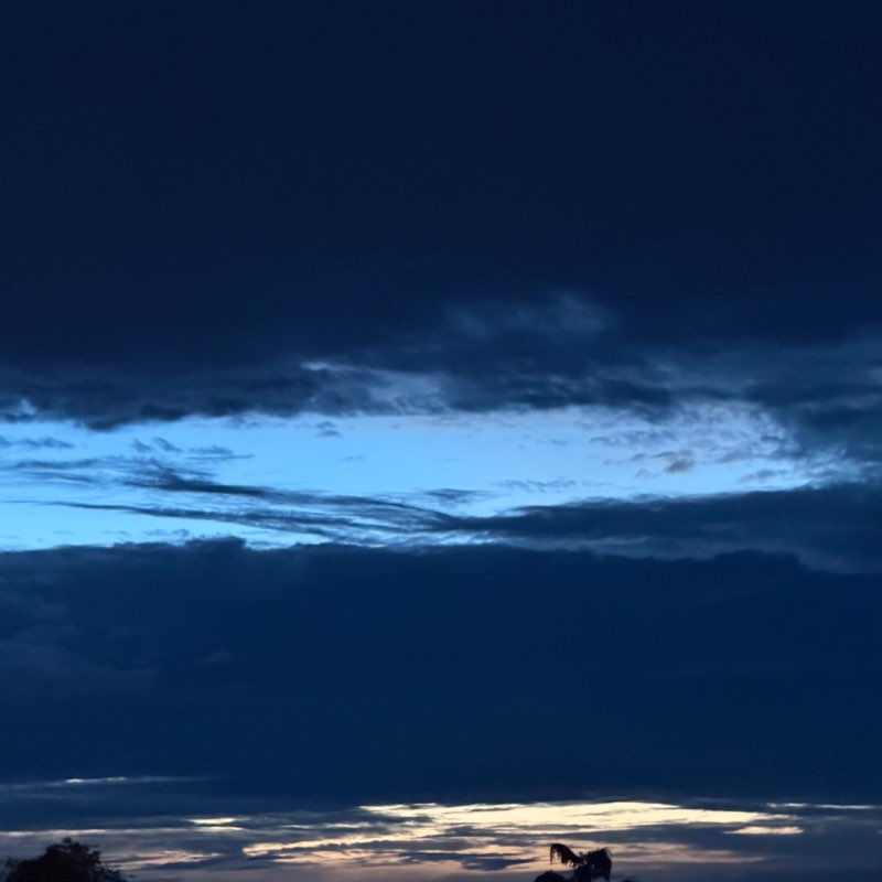 🍓Strawberry🍓 profile