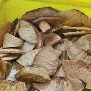 Mohamed Ahmed profile