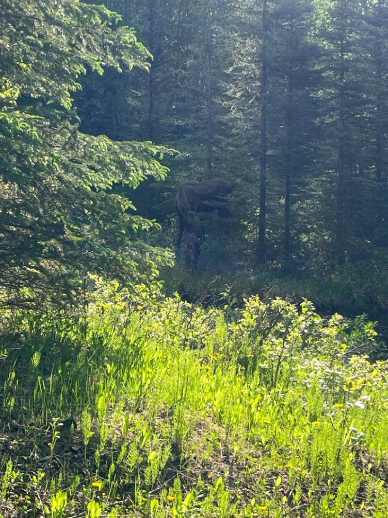 walking near me in Margaret Eagan Sullivan Park in summer