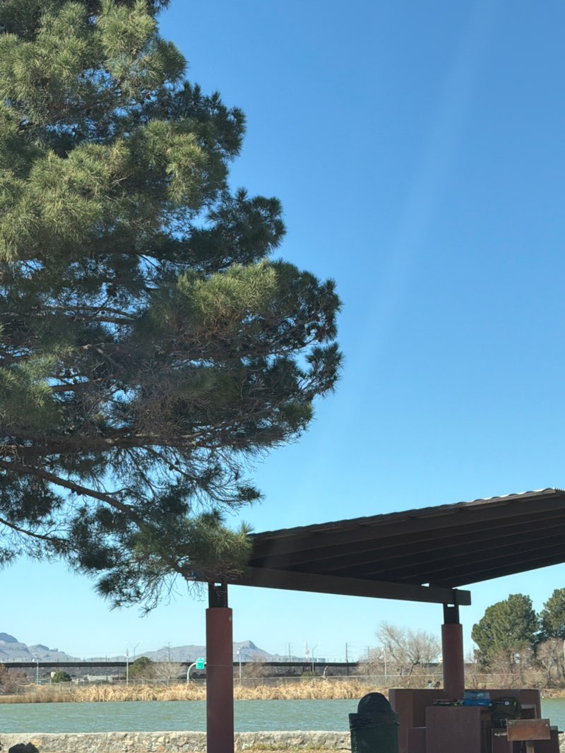 walking near me in Ascarate Lake Park in winter