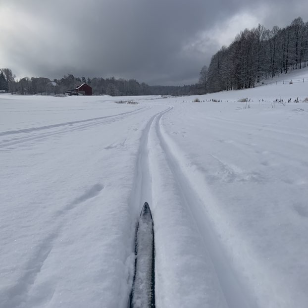 OFSE Digital Footprints Robert Fencl ๐ณ๐ด๐จ๐ฟ post image