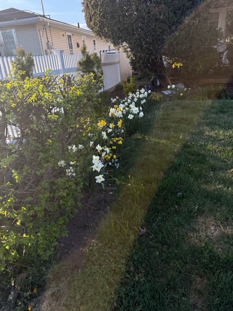 walking near me in Lincoln Park in spring