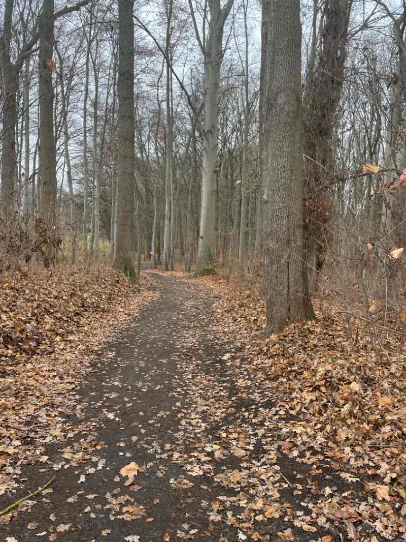 walking near me in Annapark in winter