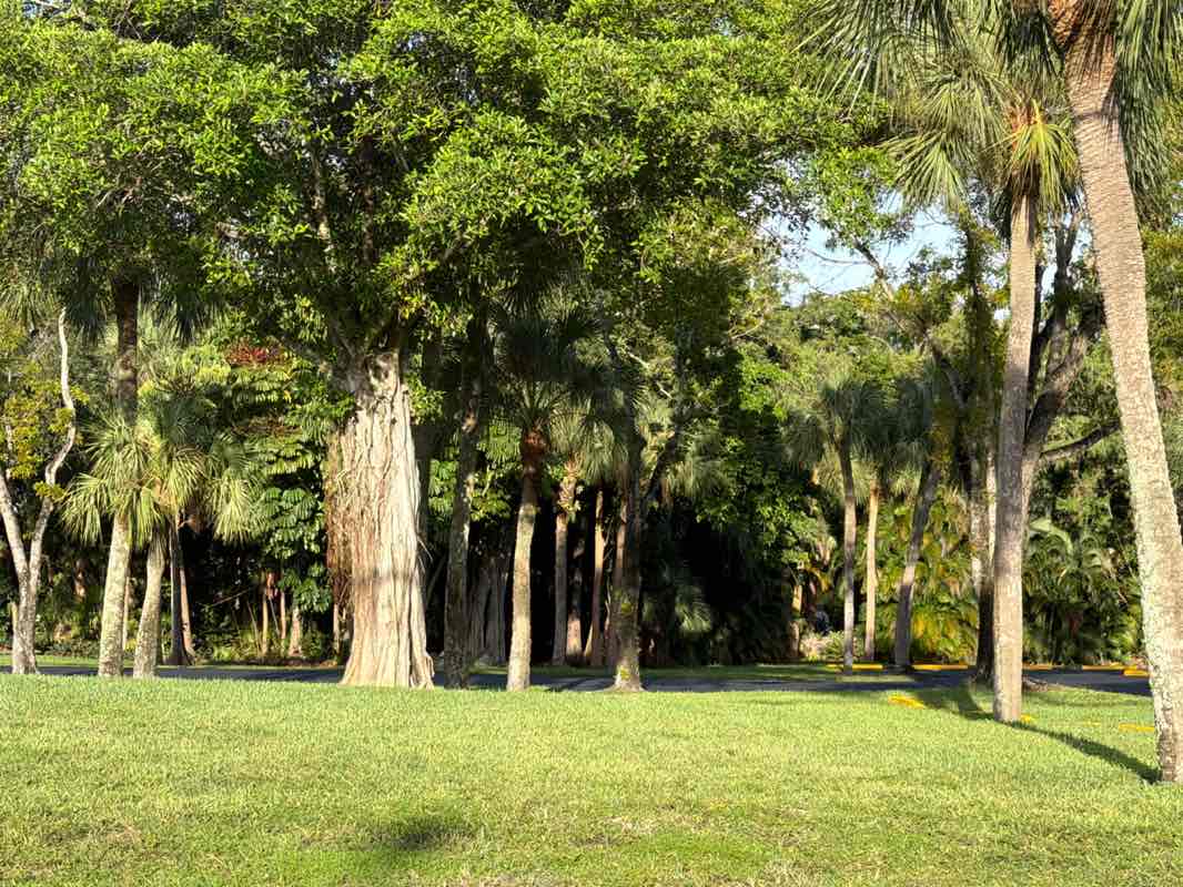 walking near me in Sandal Foot Cove Park in summer