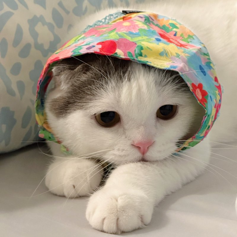 20213834-Boonyaporn icon