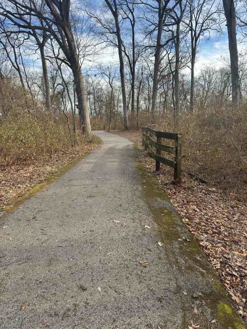 walking near me in Godfrey Ball Park in winter