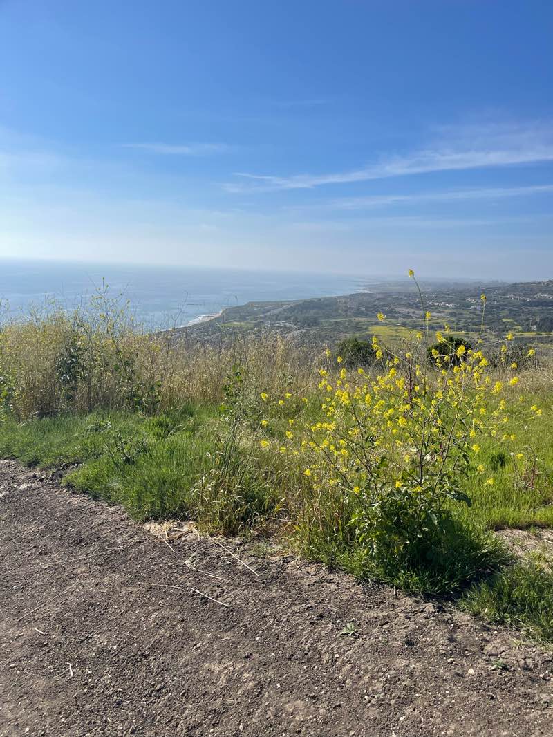 walking near me in Coastal Peak Park in spring